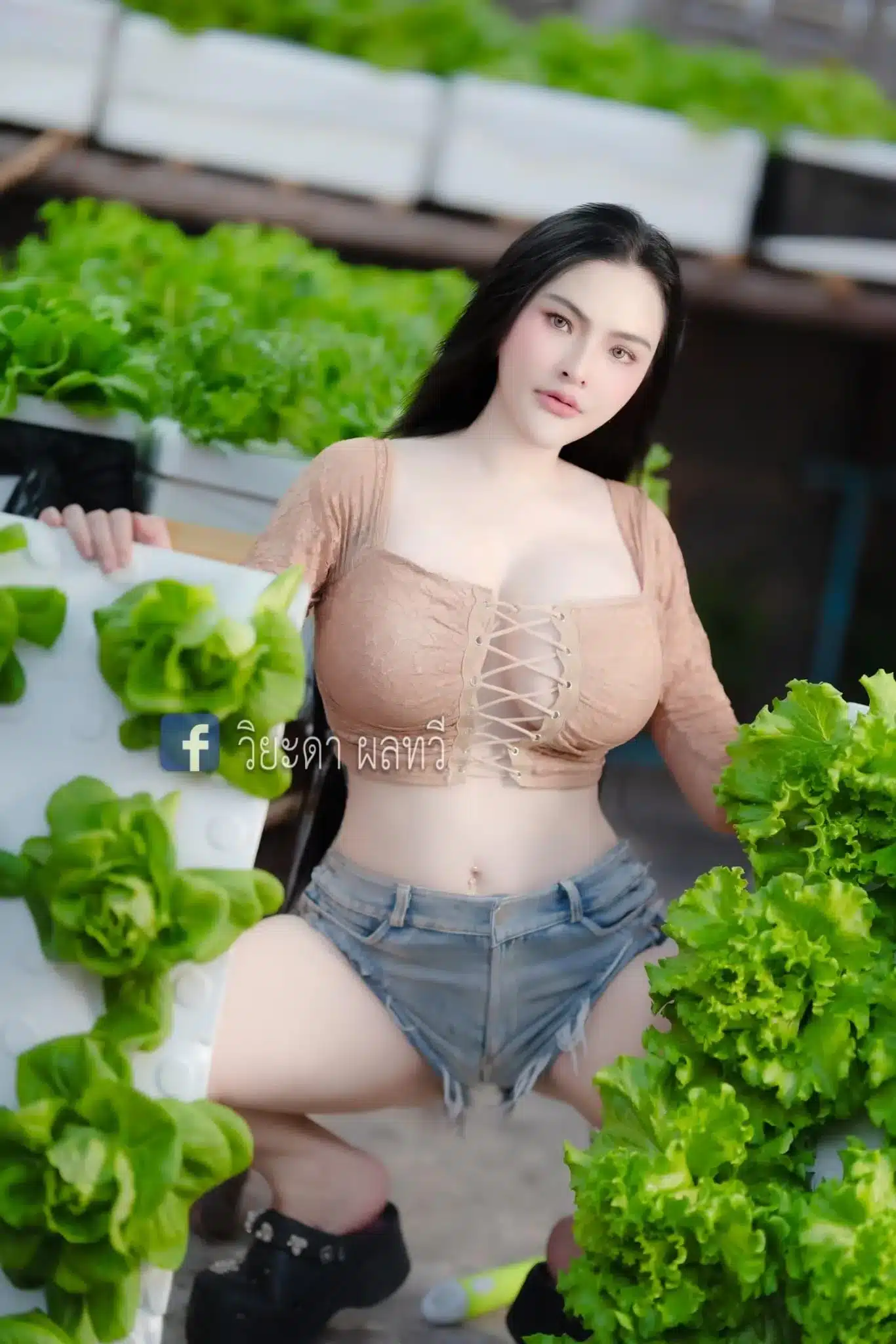 โซดา วิยะดา 33