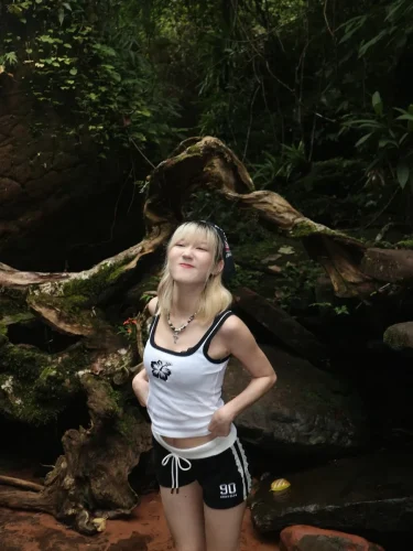 โนว์เบลล์-40